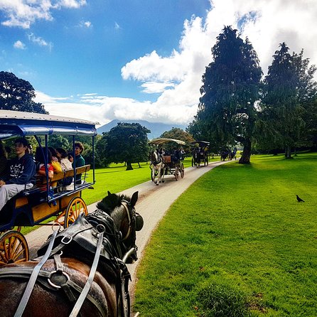 Killarney Jaunting Car Tour With Craft Brewery Beer & Pizza - Exploring Killarneys Historical Sites