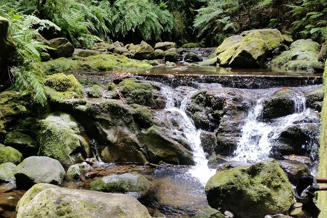 Kings Levada - São Jorge - Intimate Group Experience