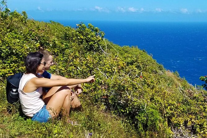 Kona: Kohala Coast and Waterfalls With Exclusive Remote Landing - Reviews and Testimonials