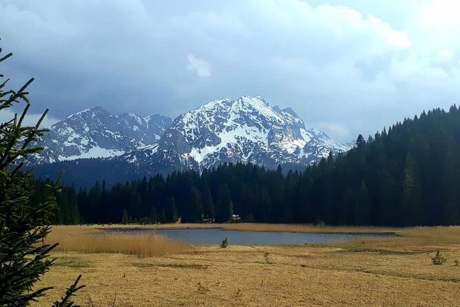 Kotor to Durmitor - Black Lake & Djurdjevica Tara Bridge Tour - Pickup and Drop-off Details