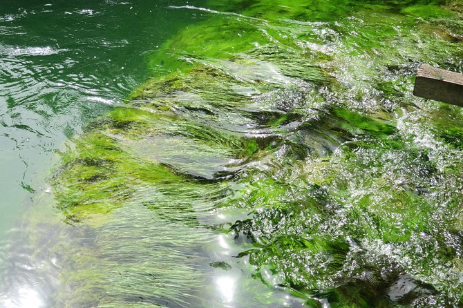 Krka Waterfalls Luxury Tour for Singles or Couples - Cancellation and Refund Policy
