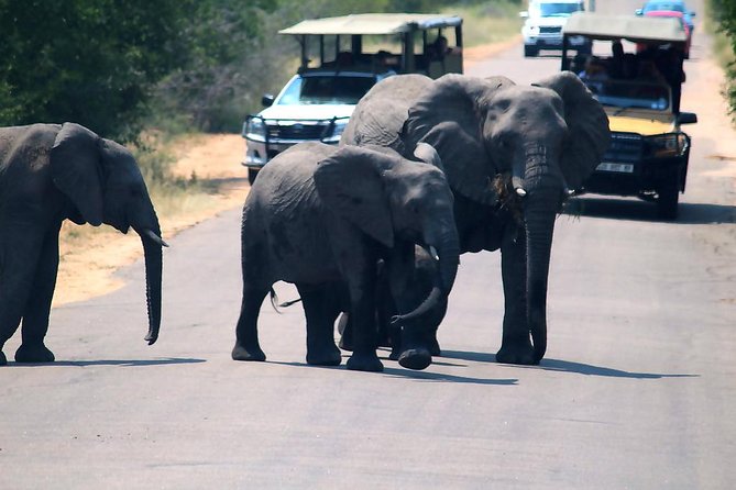 Kruger National Park. 3 Days Best Ever Safari From Cape Town - Pricing and Booking Information