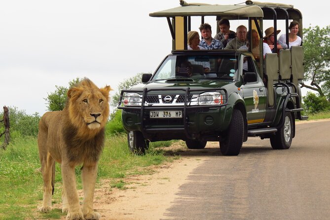 Kruger National Park Afternoon Private Safari - Spotting the Big Five
