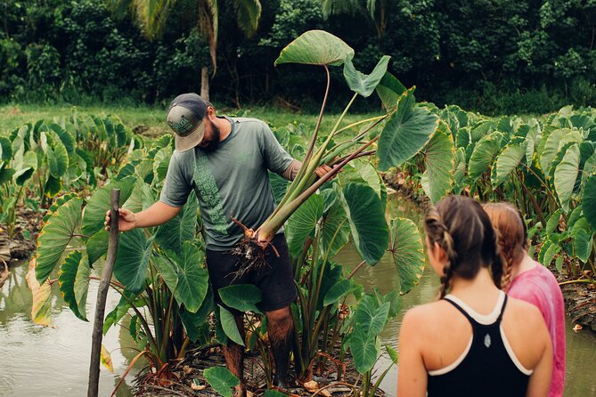 Kualoa Ranch: Malama Experience Tour - What to Bring and Expect