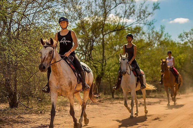 Kusadasi Horseback Riding - Tips for a Great Experience