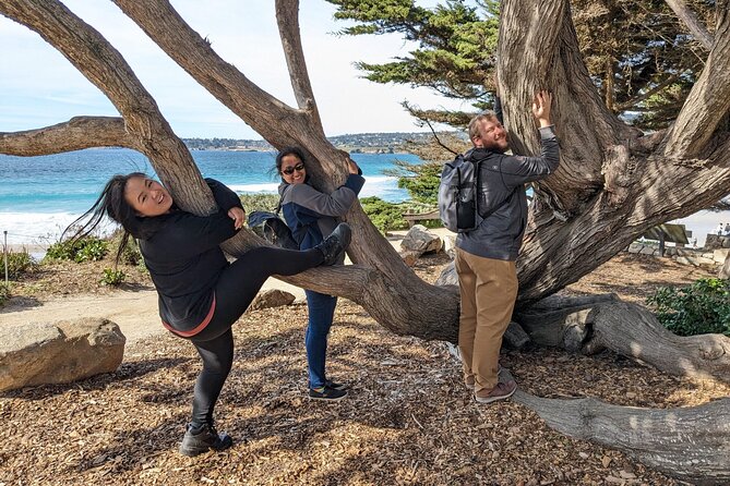 La Jolla Jig Scavenger Hunt - Questions About Your Stay
