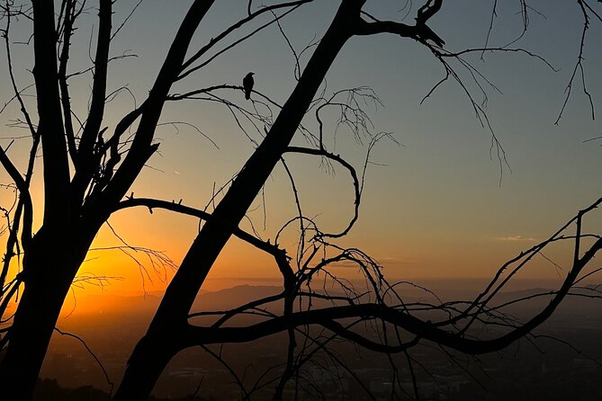LA Night Hikers - Pricing and Reservations