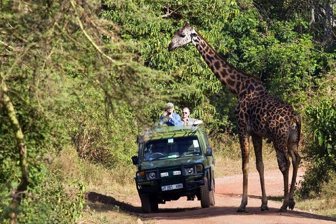 Lake Manyara National Park Full-Day Tour From Arusha - Optional Add-On Experiences