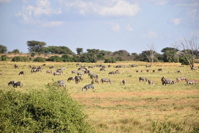 Lake Naivasha Day Tour Including the Crescent Island - Traveler Reviews and Experiences