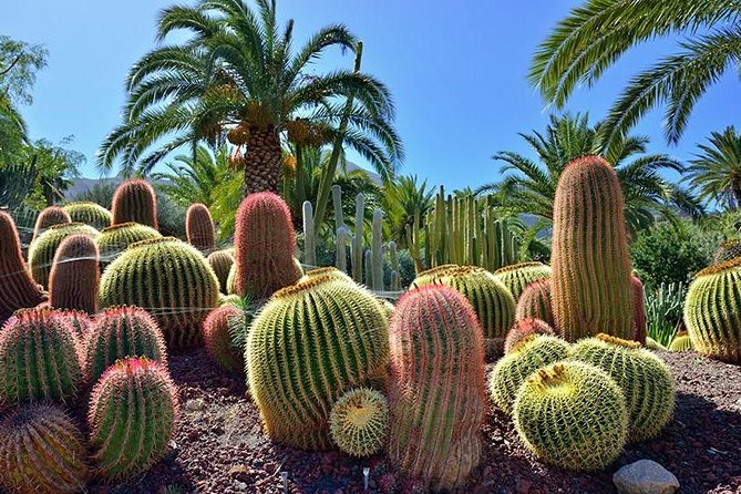 Las Palmas, Botanical Garden & Bandama Crater Tour - Gran Canaria - Bandama Volcanic Crater Visit
