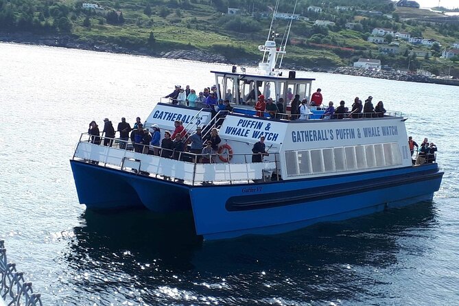 Late Season Puffin & Scenic Coastal Cruise - Whale and Iceberg Sightings