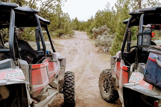 Lava Run Off-Road Adventure - Vehicle and Amenities