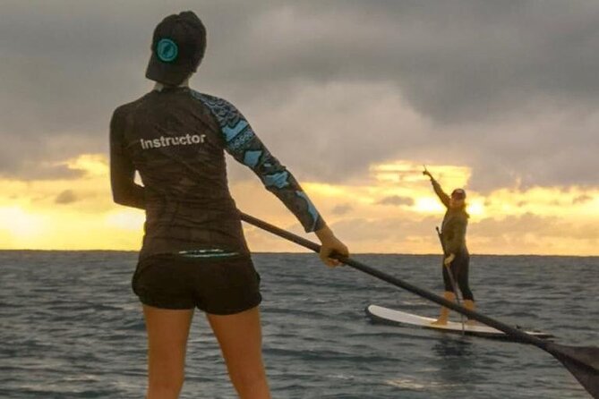 Learn Paddle Board and Explore the Mangroves of Progreso - Mangrove Exploration