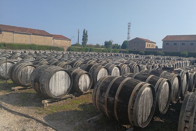 Les Baux De Provence: Wine Day Tour: 8 Hours - Customer Reviews