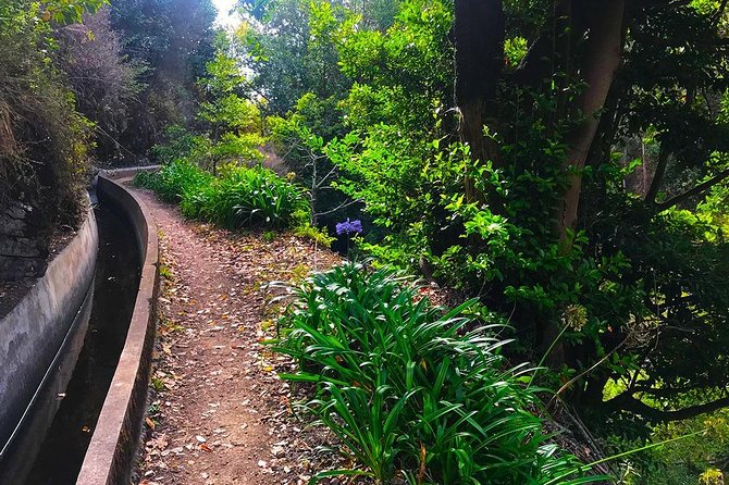 Levada Do Norte - Walking Tour - Cancellation and Payment Options