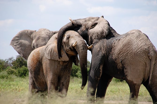 LGBTQ Vacation to Exquisite and Picturesque Places South Africa - Frequently Asked Questions