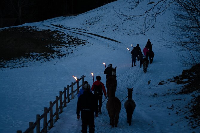 Llama Hike With Homemade, Traditional Cheese Fondue - Meeting Point and Start Time