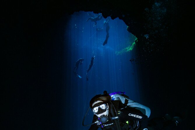 Local Reef Dives for Certified Divers - Experience Highlights