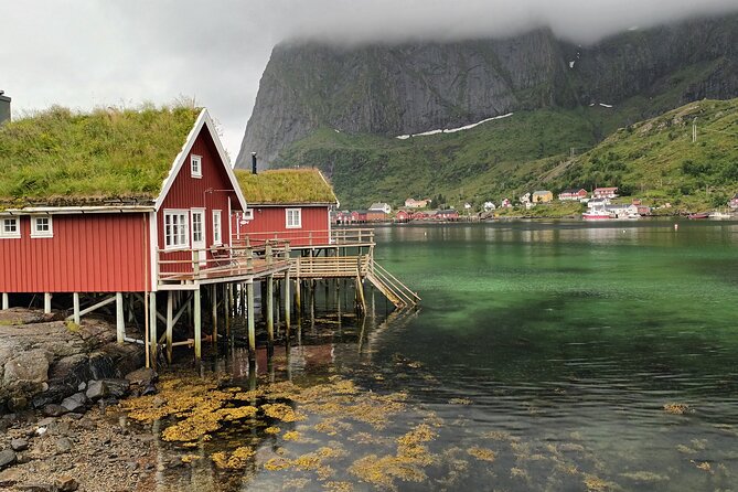 Lofoten VIP PRIVATE Tour From Leknes City / Port - Preparation Tips for Travelers