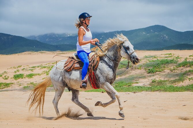 Los Cabos Horseback Riding - Preparing for the Excursion