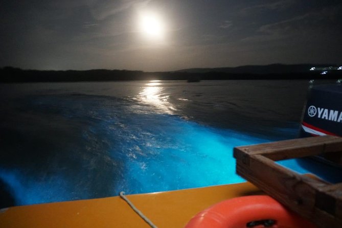 Luminous Lagoon Glistening Waters Tour From Falmouth - Unforgettable Jamaican Experience