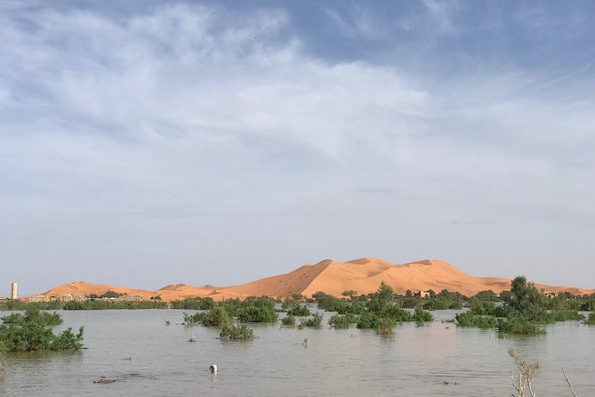Luxury Private 4-Day Camel Trekking and Kasbah Trail From Marrakech - Booking Your Adventure