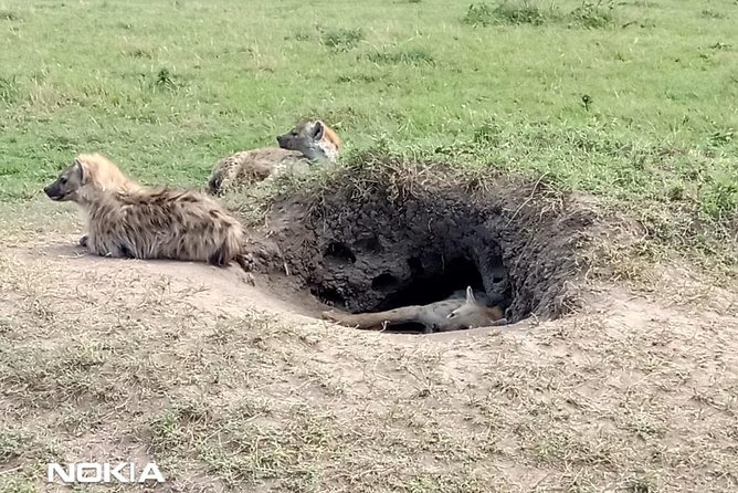 Maasai Mara Game Reserve - Travel Tips for Visitors