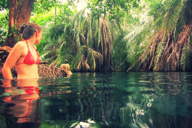 Maasai Village Visit and Chemka Hot-Springs With Hot Lunch. - Positive Traveler Feedback