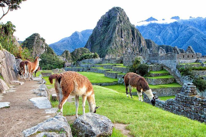 Machu Picchu by Train (Full Day) - Preparing for the Adventure