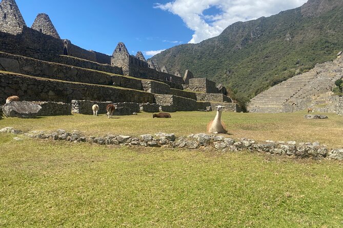 Machu Picchu Tour One Day ( From Cusco) - Explore Machu Picchu