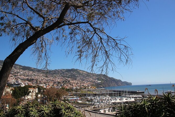 Madeira Essence Half Day Tour for Cruises - Cancellation and Refund Policy