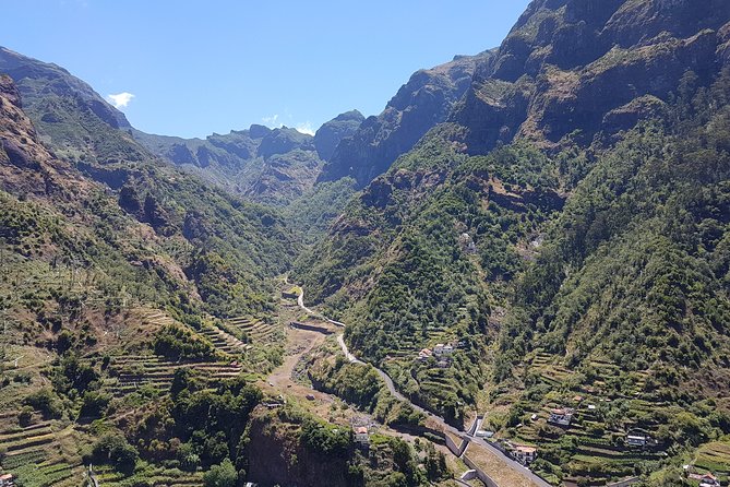 Madeira: Private Laurisilva Tour - Levada Walk in Laurisilva