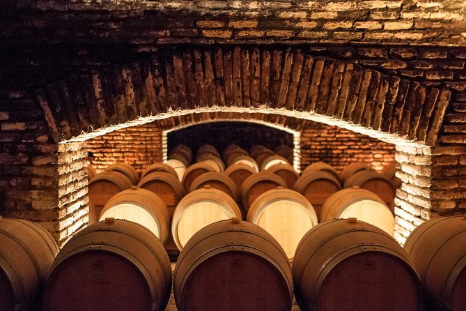 Maipo Valley Wine Tour, Concha Y Toro, Private Transfer From Santiago - Final Verdict On This Stay