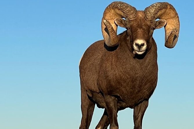 Majestic Landscapes: Badlands, Wall Drug, and Agate Hunts - What to Expect During the Tour