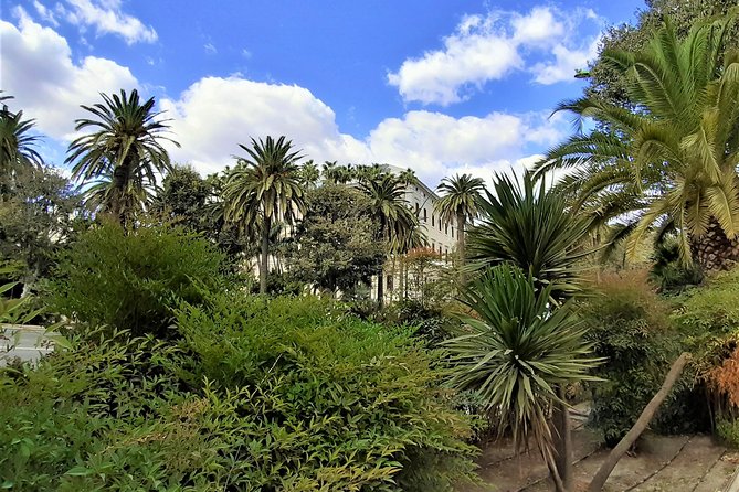 Malaga: Group Walking Tour - Since You Asked