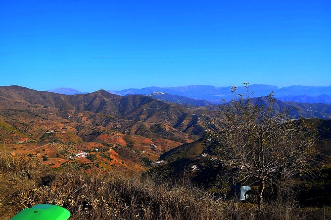 Malaga Shore Excursion: Panoramic Buggy Tour With Wine Tasting in a Historical Cellar - Authentic Customer Reviews