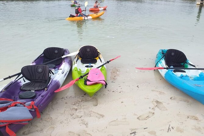 Mangrove Kayaking Abu Dhabi - Tips for Kayaking Adventure