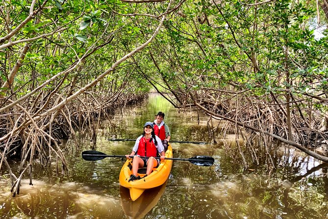 Mangrove Tunnel Kayak Eco Tour - Booking and Policies