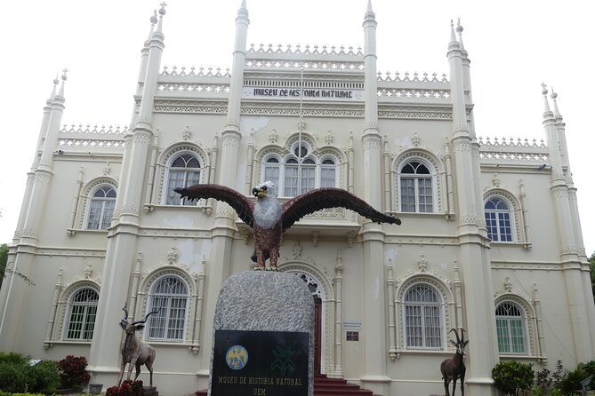 Maputo Art Walking Tour - Insider Tips for an Engaging Tour