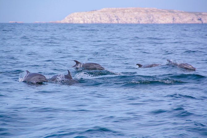 Marietas Hidden Beach Trip From Puerto Vallarta - Cancellation Policy