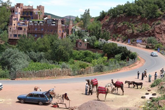 Marrakesh Day Tour to Atlas Mountains - Traveler Reviews