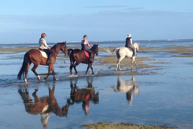 Mauritius Horse Riding at Riambel - Customer Feedback Highlights