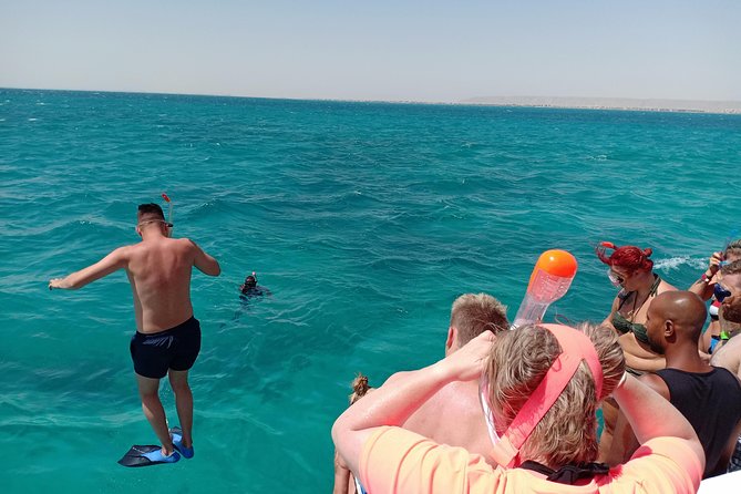 Meet the Dolphins in Snorkeling Tour - About the Tour Operator