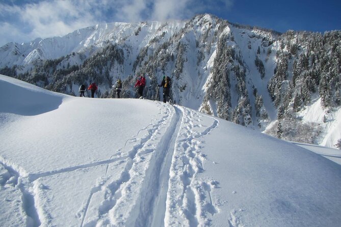 Mestia Ushguli Private Tour - Logistics and Booking