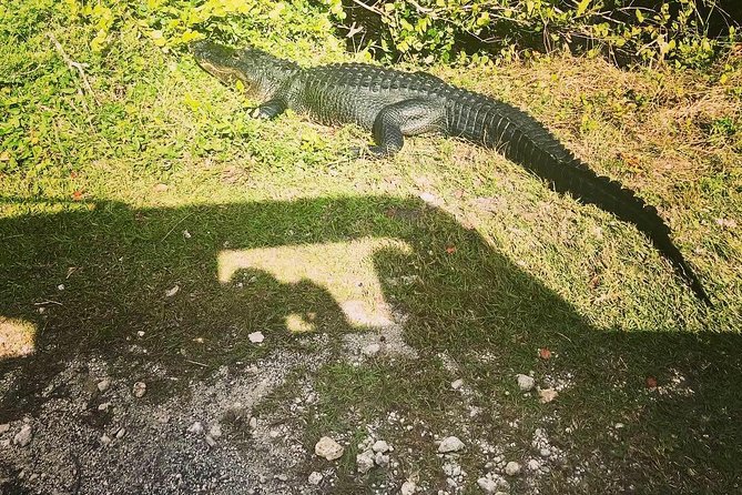 Miami & Florida Everglades Adventure Package - Booking and Cancellation Policy