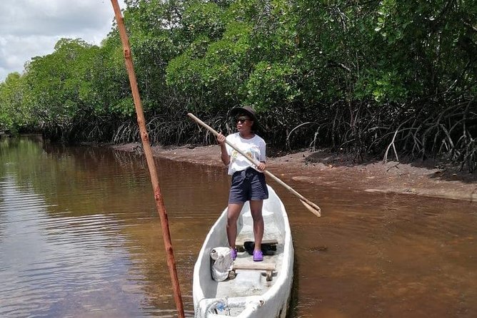 Mida Creek Boardwalk and Canoa Ride - Understanding the Importance of Mangrove Conservation