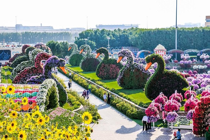 Miracle Garden Ticket Dubai With Shared Transfers - Convenient Hotel Transfers