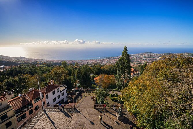 Monte Tropical Garden & Toboggans Private Tuk-Tuk Tour - Exploring Old Town Funchal