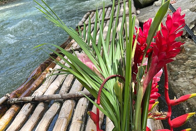 Montego Bay Bamboo Rafting & Sunset at Ricks Cafe Negril - Accessibility and Participation