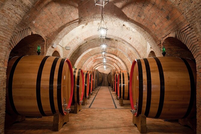 Montepulciano: Wine Tasting & Lunch in a Typical Winery - Customer Feedback Summary